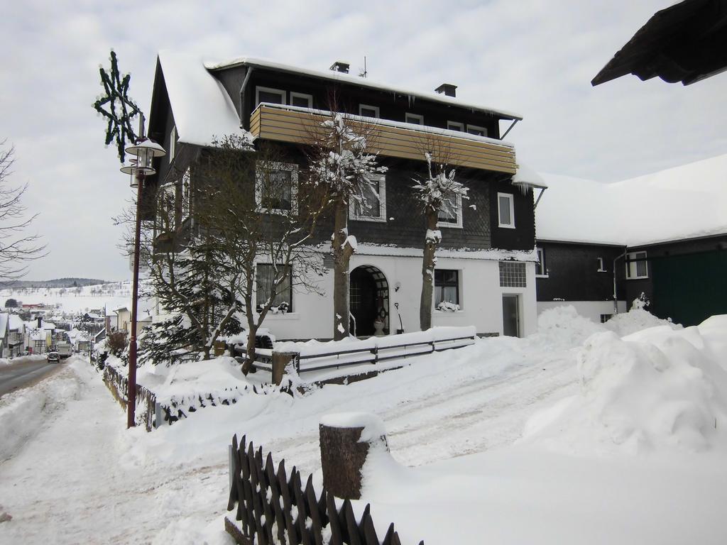 Dribischenhof Hotel Usseln ภายนอก รูปภาพ
